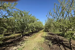 1613 Fig Ave, Patterson, CA 95363 - Photo 3