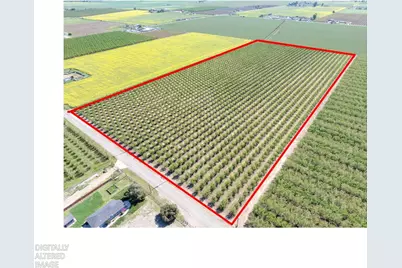 1613 Fig Avenue, Patterson, CA 95363 - Photo 39