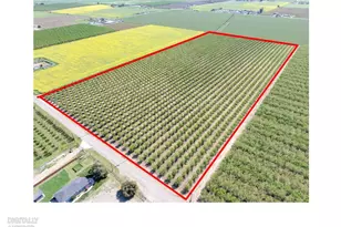 1613 Fig Ave, Patterson, CA 95363 - Photo 39