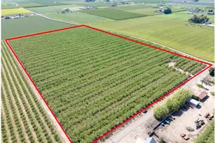 1613 Fig Ave, Patterson, CA 95363 - Photo 19