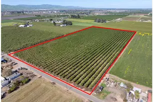 1613 Fig Ave, Patterson, CA 95363 - Photo 43
