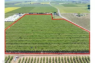 1613 Fig Ave, Patterson, CA 95363 - Photo 9