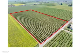 1613 Fig Ave, Patterson, CA 95363 - Photo 29