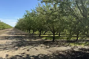 1613 Fig Ave, Patterson, CA 95363 - Photo 27