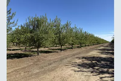 1613 Fig Avenue, Patterson, CA 95363 - Photo 31