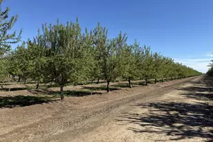 1613 Fig Ave, Patterson, CA 95363 - Photo 31