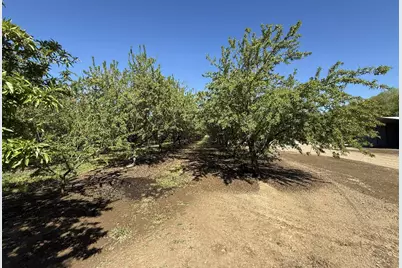 1613 Fig Avenue, Patterson, CA 95363 - Photo 7