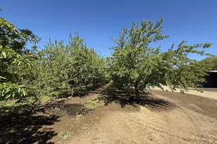 1613 Fig Ave, Patterson, CA 95363 - Photo 7