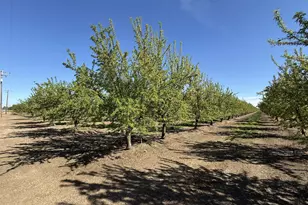 1613 Fig Ave, Patterson, CA 95363 - Photo 33