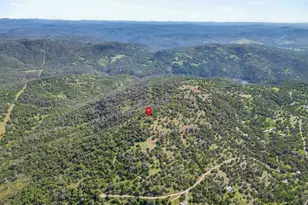 11717 Mourning Dove, Browns Valley, CA 95918 - Photo 89