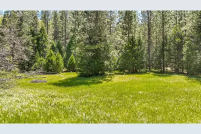 7698 Swiss Ranch Road, Mountain Ranch, CA 95246 - Photo 23