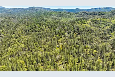 7698 Swiss Ranch Road, Mountain Ranch, CA 95246 - Photo 27