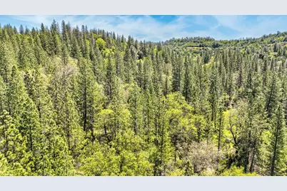 7698 Swiss Ranch Road, Mountain Ranch, CA 95246 - Photo 17