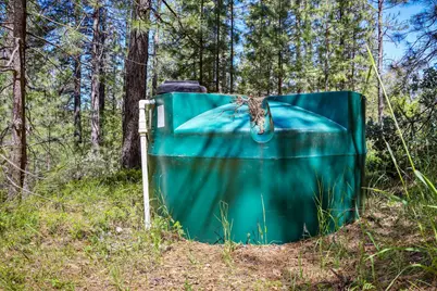 7698 Swiss Ranch Road, Mountain Ranch, CA 95246 - Photo 11