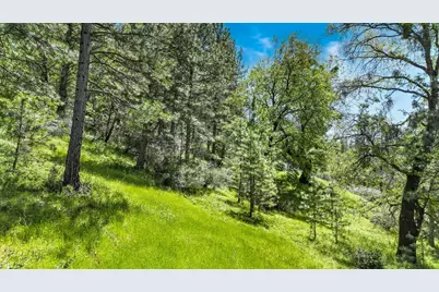 7698 Swiss Ranch Road, Mountain Ranch, CA 95246 - Photo 13