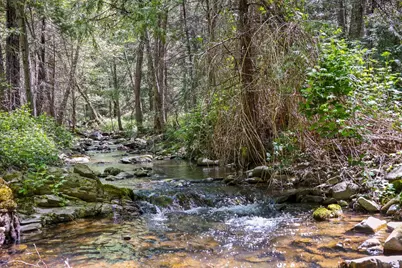 7698 Swiss Ranch Road, Mountain Ranch, CA 95246 - Photo 9