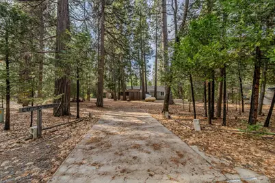 25630 Overland Drive, Volcano, CA 95689 - Photo 5
