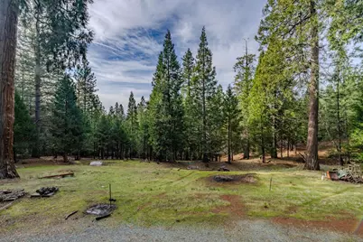 25630 Overland Drive, Volcano, CA 95689 - Photo 7