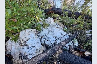 8870 Oro Quincy Highway, Berry Creek, CA 95916 - Photo 7