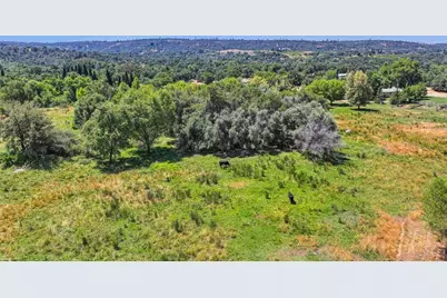 1200 Gold Hill Road, Newcastle, CA 95658 - Photo 87