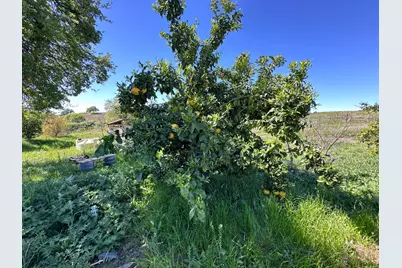 8055 Airola Road, Vallecito, CA 95251 - Photo 21