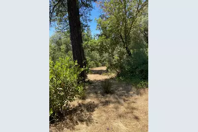 10874 Marysville Road, Dobbins, CA 95935 - Photo 41