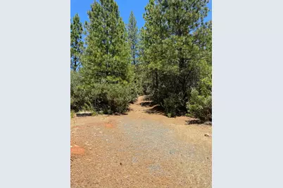 10874 Marysville Road, Dobbins, CA 95935 - Photo 25