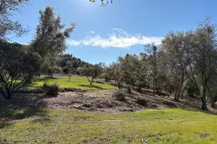 2920 Martel Creek, Rescue, CA 95672 - Photo 67