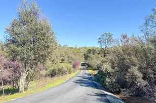 2920 Martel Creek, Rescue, CA 95672 - Photo 57