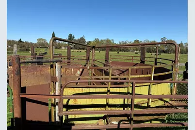 8960 Dillard Road, Wilton, CA 95693 - Photo 27