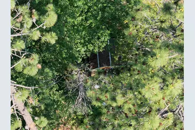 8671 La Porte Road, Brownsville, CA 95919 - Photo 11