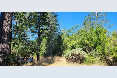 8671 La Porte Road, Brownsville, CA 95919 - Photo 5