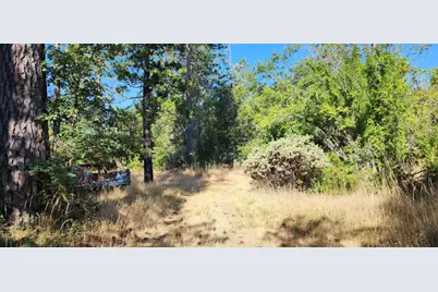 8671 La Porte Road, Brownsville, CA 95919 - Photo 1