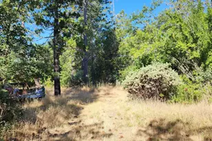 8671 La Porte Rd, Brownsville, CA 95919 - Photo 1