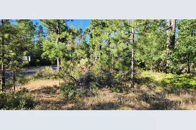 8671 La Porte Road, Brownsville, CA 95919 - Photo 3