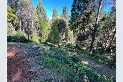 14619 Old Marysville Road, Camptonville, CA 95922 - Photo 53