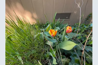 14619 Old Marysville Road, Camptonville, CA 95922 - Photo 5