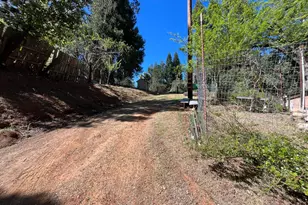 14619 Old Marysville Rd, Camptonville, CA 95922 - Photo 11