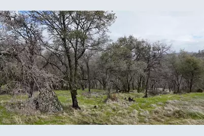 8157 Hammonton Smartsville Road, Smartsville, CA 95977 - Photo 15