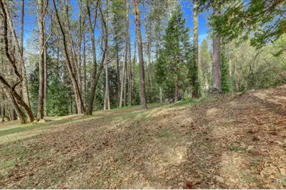 464 Monroe Street, Nevada City, CA 95959 - Photo 85