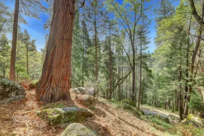 464 Monroe Street, Nevada City, CA 95959 - Photo 91