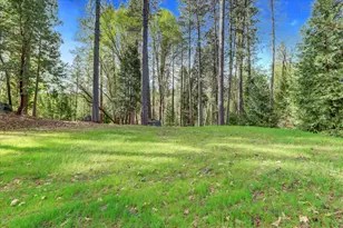 464 Monroe St, Nevada City, CA 95959 - Photo 83