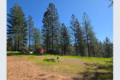 1151 Gorley Lane, Mokelumne Hill, CA 95245 - Photo 9