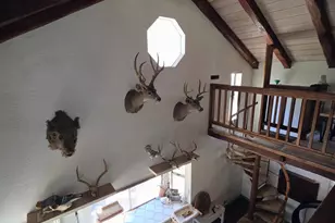 1151 Gorley Ln, Mokelumne Hill, CA 95245 - Photo 41