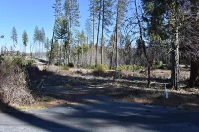 20 Meadow Lane, Berry Creek, CA 95916 - Photo 43