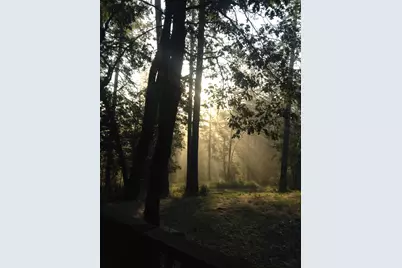 14551 Cattail Lane, Grass Valley, CA 95945 - Photo 47