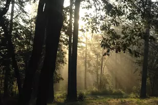 14551 Cattail Ln, Grass Valley, CA 95945 - Photo 47