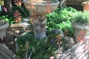 14551 Cattail Ln, Grass Valley, CA 95945 - Photo 45