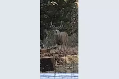 14551 Cattail Lane, Grass Valley, CA 95945 - Photo 43