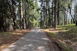 14551 Cattail Ln, Grass Valley, CA 95945 - Photo 23